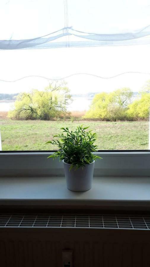 Ferienwohnung Mit Seeblick ブランデンブルク エクステリア 写真